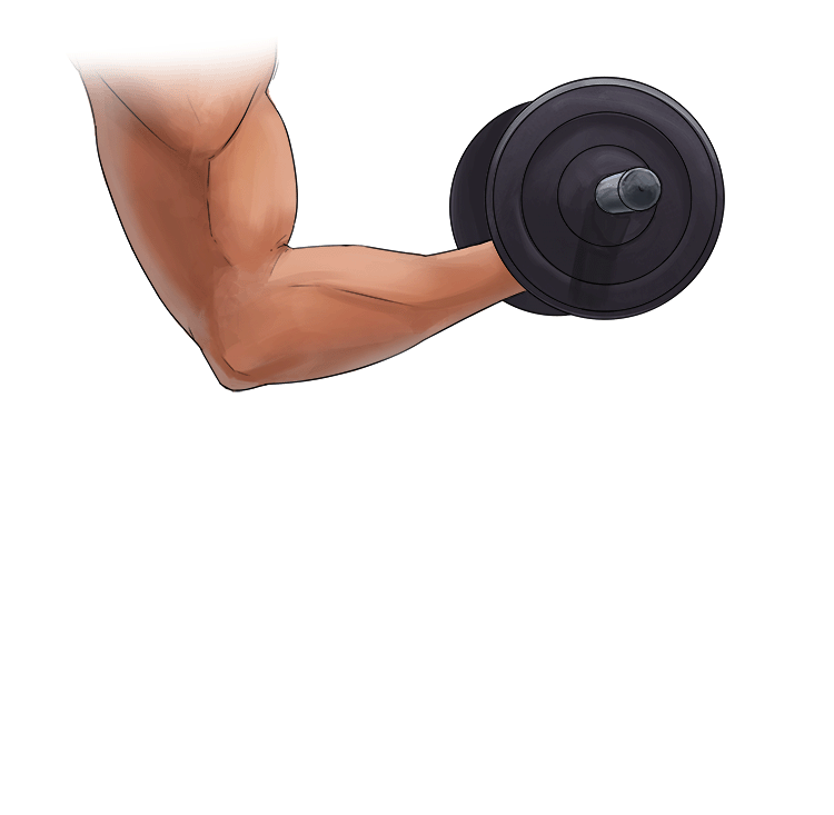 Example: Slowly putting down a dumbbell